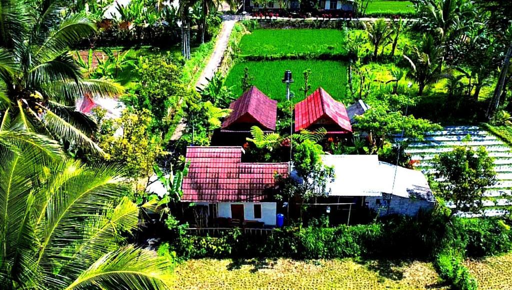 Ariel Bungalow Tetebatu Buitenkant foto