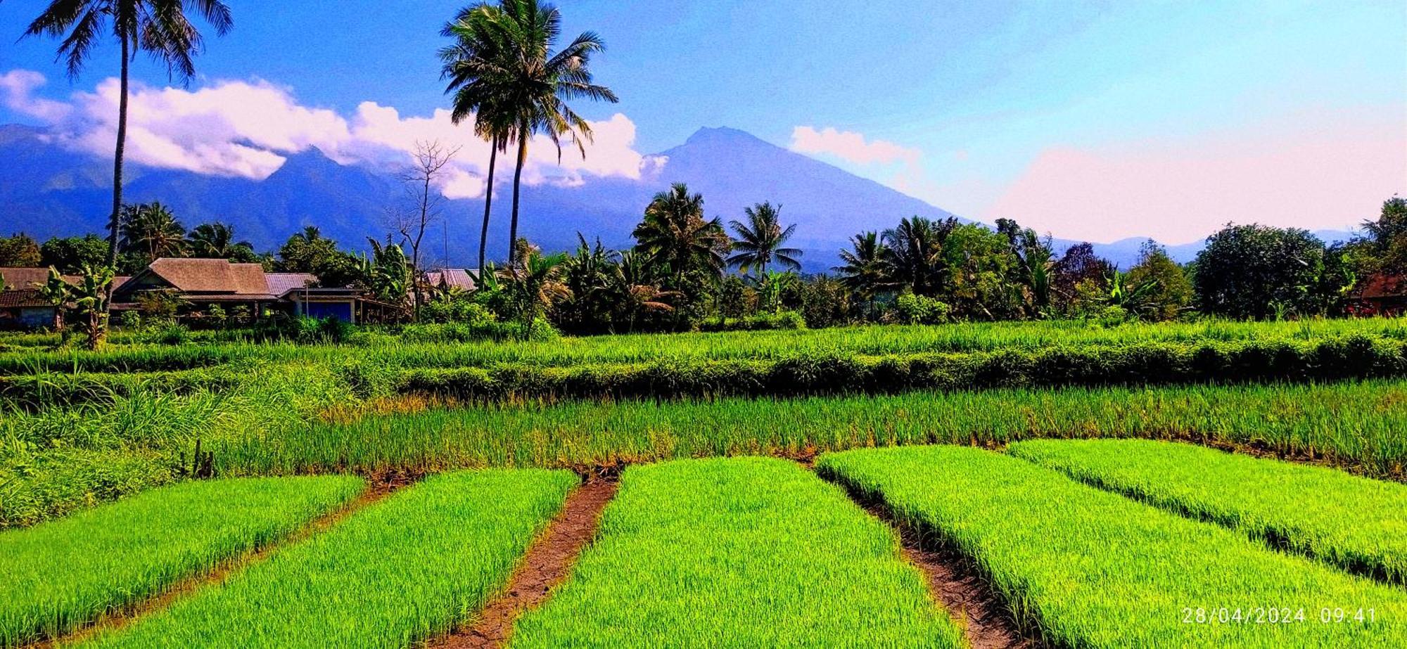 Ariel Bungalow Tetebatu Buitenkant foto