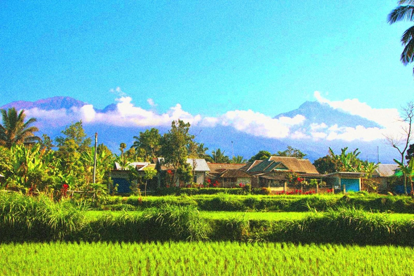 Ariel Bungalow Tetebatu Buitenkant foto