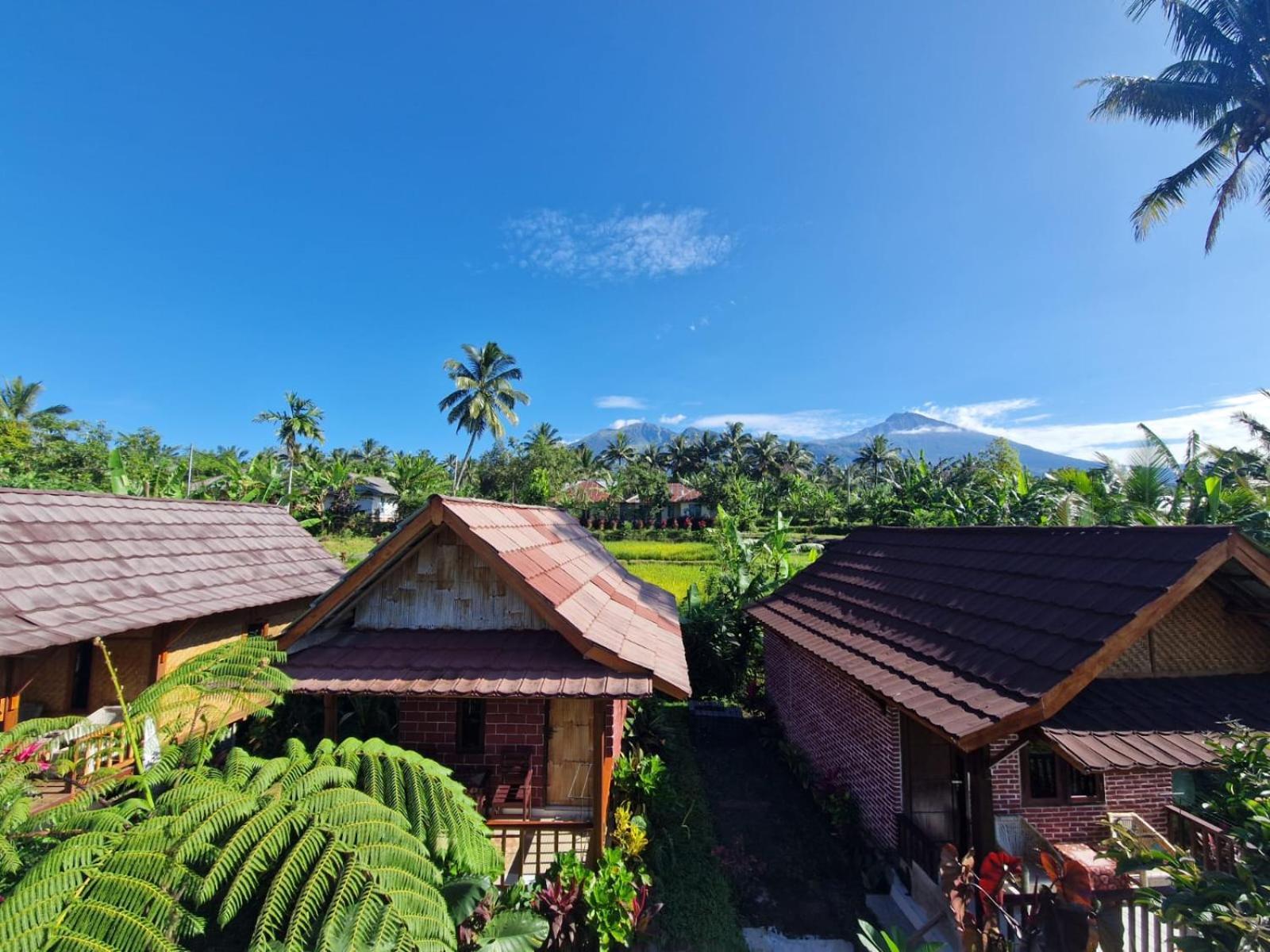 Ariel Bungalow Tetebatu Buitenkant foto