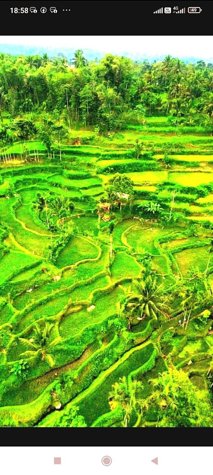 Ariel Bungalow Tetebatu Buitenkant foto